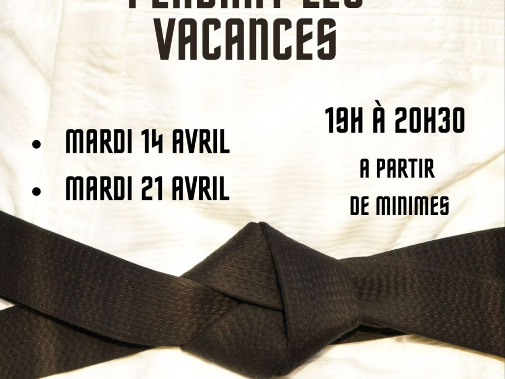 Image de l'actu 'Entrainement départemental Judo'