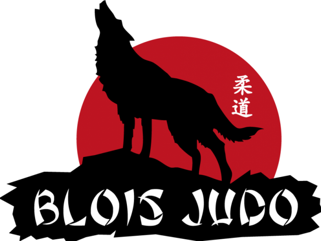 Image de l'actu 'TOURNOI MINIME DU BLOIS JUDO'