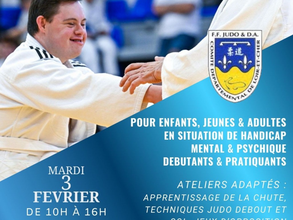Image de l'actu 'animation para judo à Selles Sur Cher'
