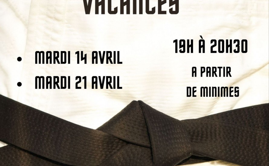 Entrainement départemental Judo