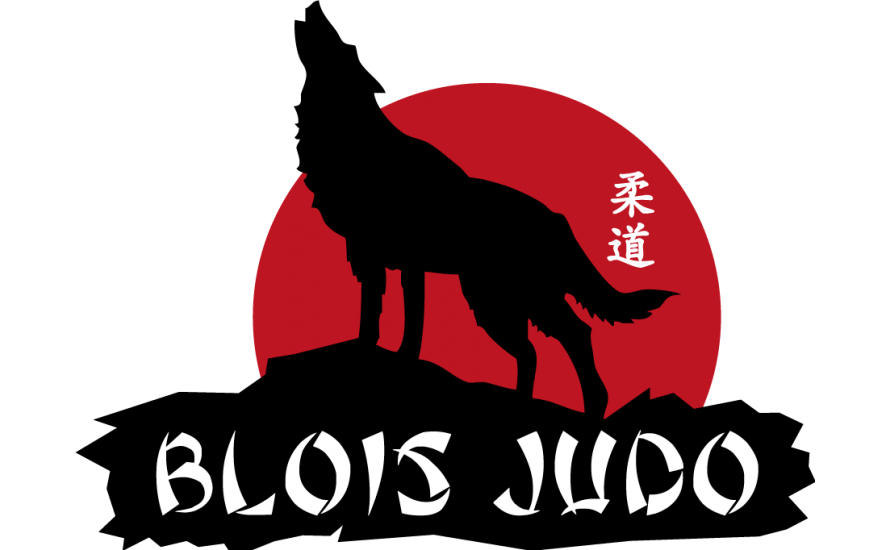 RENCONTRE PAR EQUIPE DU BLOIS JUDO
